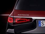 Mercedes-Maybach GLS600 4Matic 2020 года (WW)